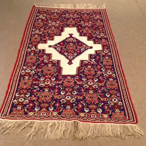 KILIM 47